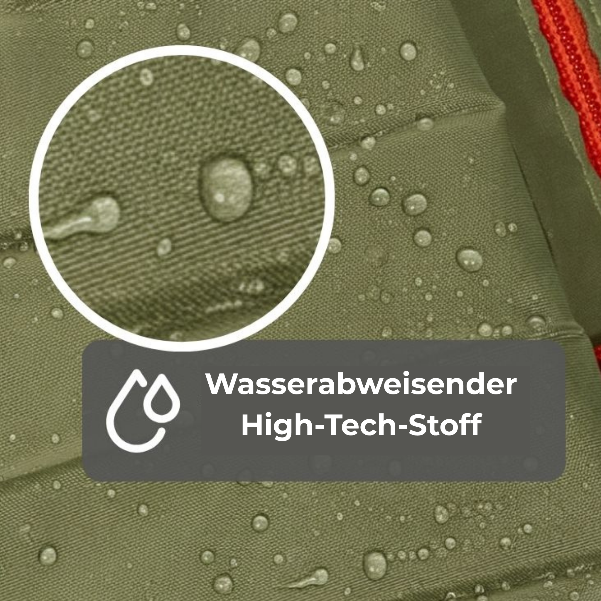 Das Wandelwunder – Safari Pop